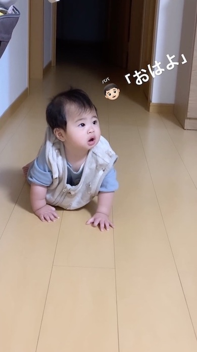 ハイハイをしている赤ちゃん