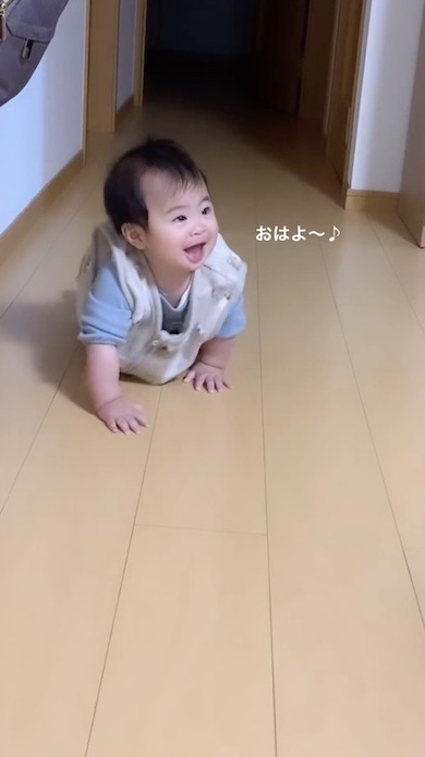 ハイハイをしている赤ちゃん