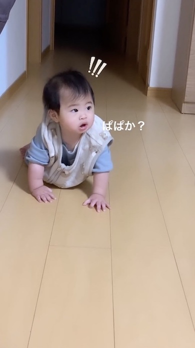 ハイハイをしている赤ちゃん