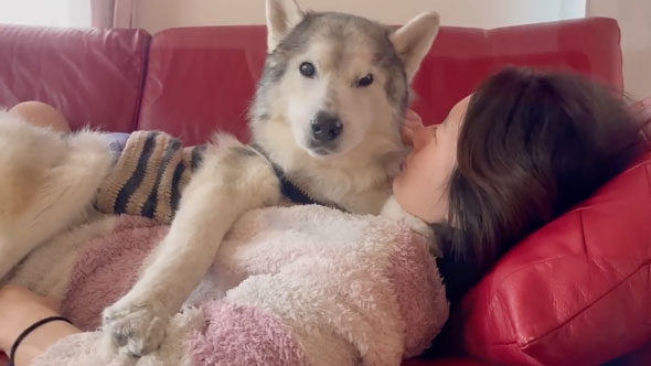 姉の上でくつろぐデカワンコ