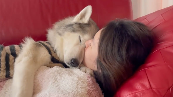 姉の上でくつろぐデカワンコ