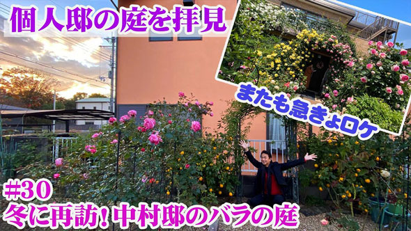 バラの庭があるお宅に再訪問