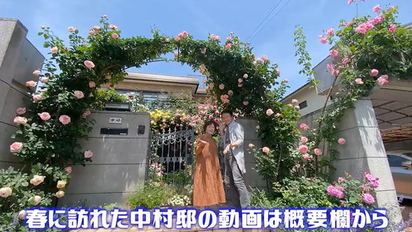 バラの庭があるお宅に再訪問