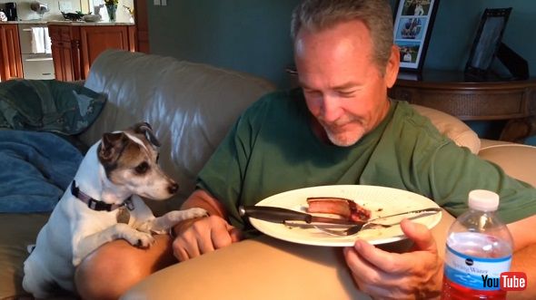 タイミングをばっちり合わせてお皿の料理および相手を交互に見る人間と犬