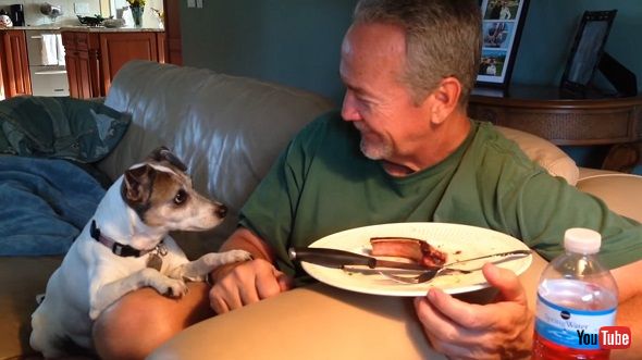 タイミングをばっちり合わせてお皿の料理および相手を交互に見る人間と犬