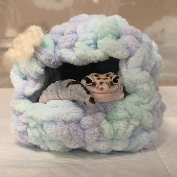 やもちぐらに入っているニシアフ