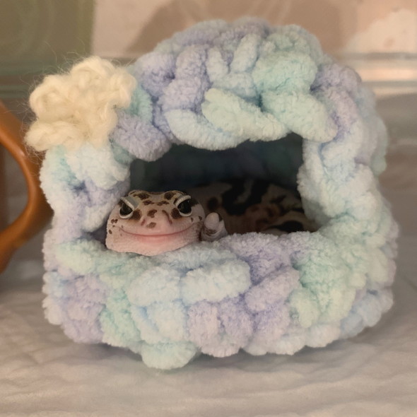 やもちぐらに入っているニシアフ