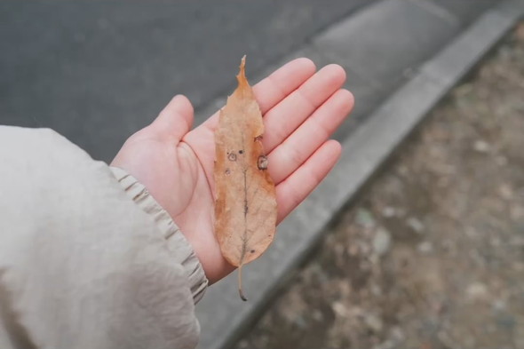 8歳の女の子が撮った写真