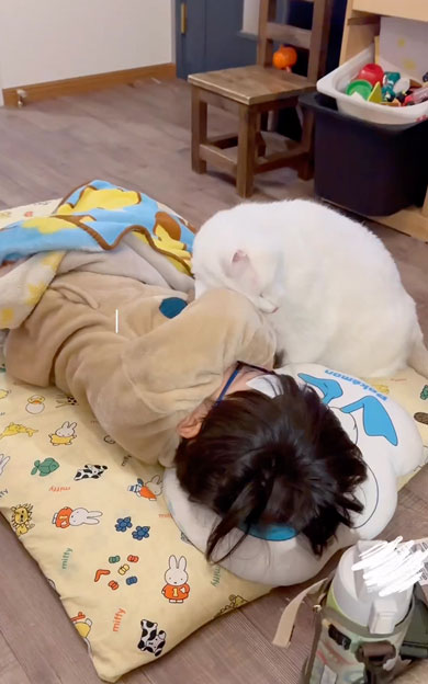 息子の看病をする猫