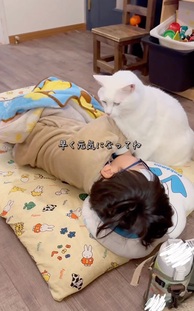 息子の看病をする猫