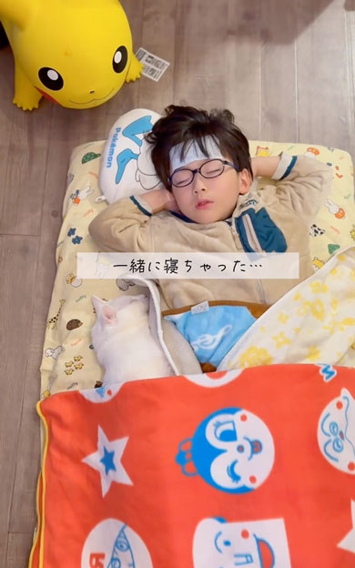 息子の看病をする猫