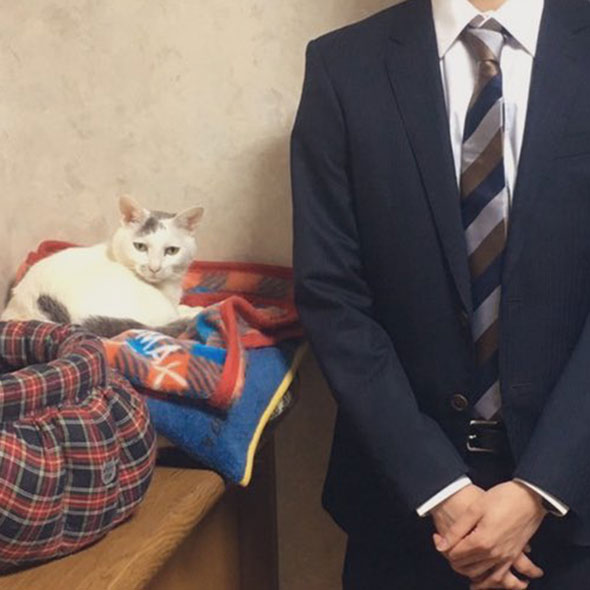 記念撮影のために起こされた猫