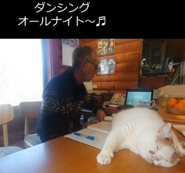 お父さんの邪魔をする猫