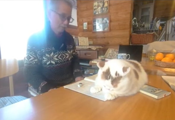 お父さんの邪魔をする猫