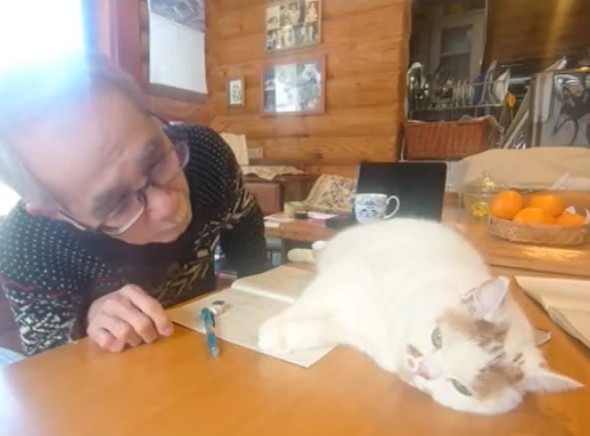 お父さんの邪魔をする猫