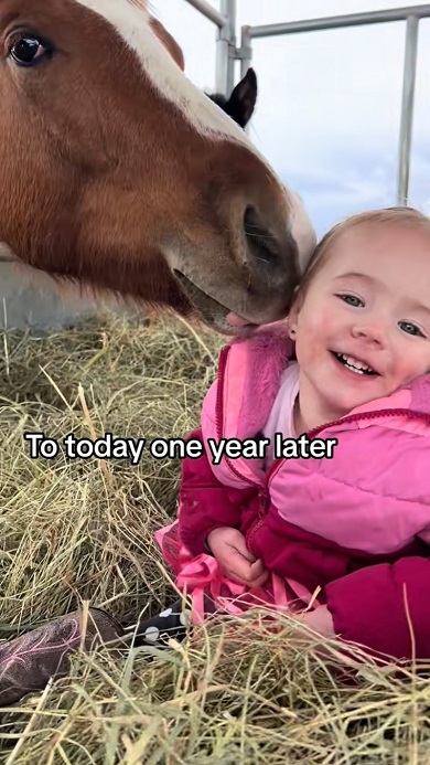 ベストフレンドな馬と娘が触れ合う光景を1年分まとめた動画