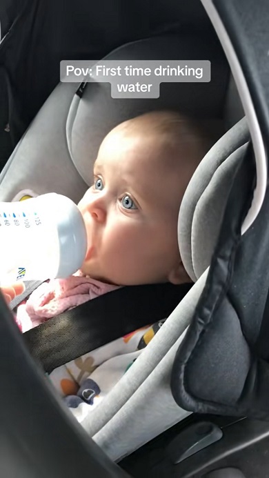 初めて飲む水の味に顔をしかめる赤ちゃん