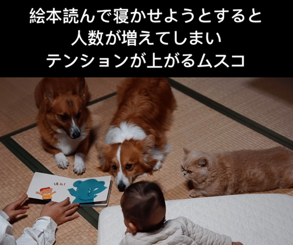 絵本集会 左のワンコ少し前傾姿勢