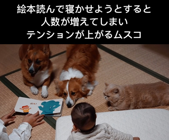 絵本集会 左のワンコ左を向く