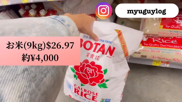 国際結婚 ママ アメリカ スクール おにぎらず 配った 学校 反応 ご飯 海苔 玉子