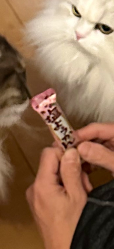 手に持つ塩ようかん