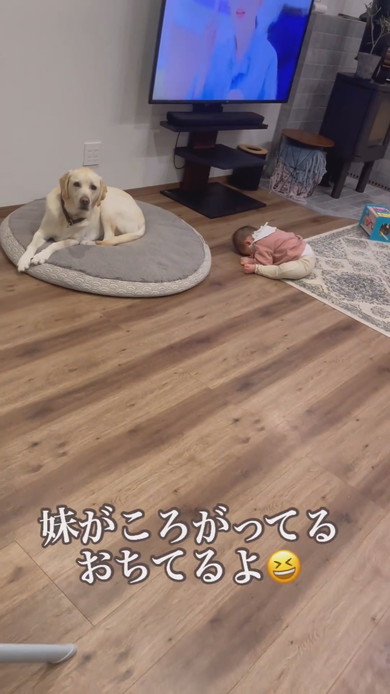 開脚前屈の姿勢で寝ている赤ちゃん