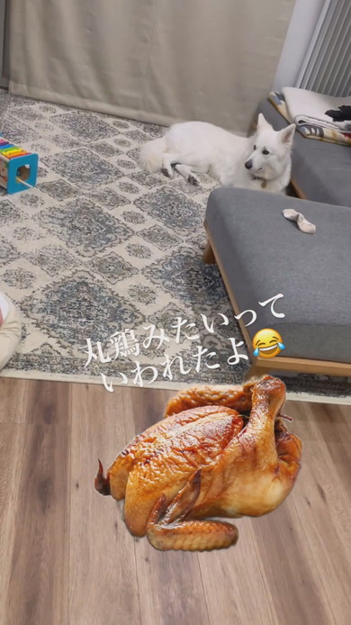 赤ちゃんを見守るワンコ