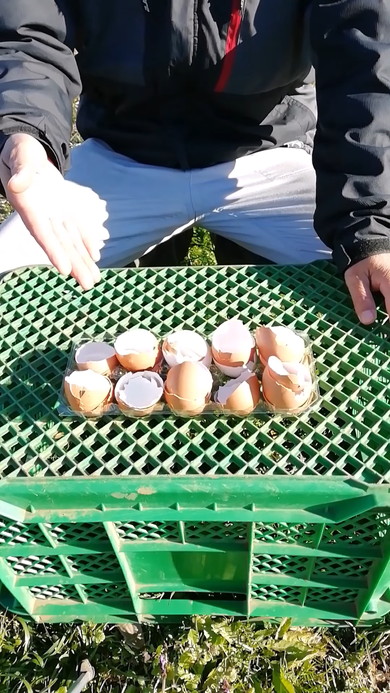 卵の殻の有効活用解説