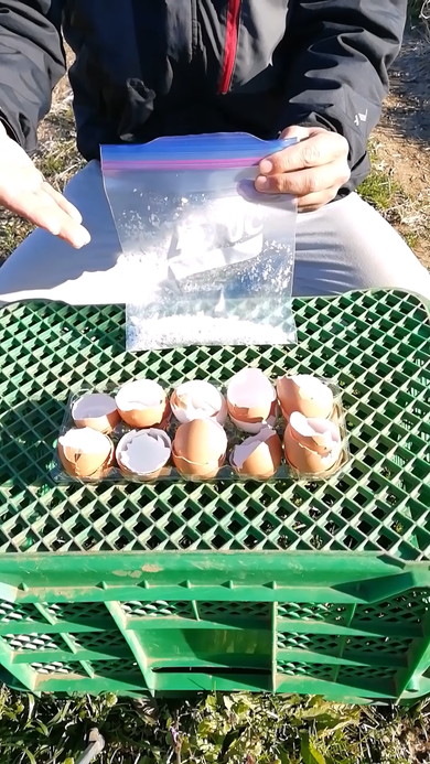 卵の殻の有効活用解説