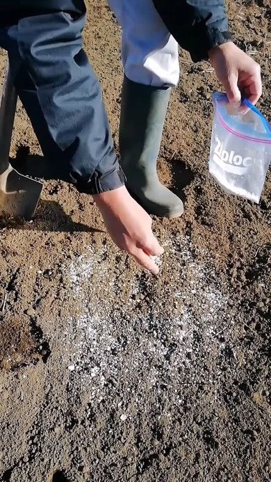 卵の殻の有効活用解説