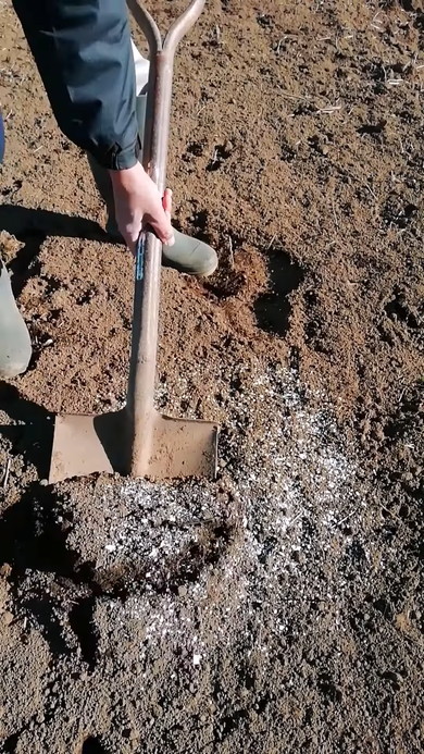 卵の殻の有効活用解説