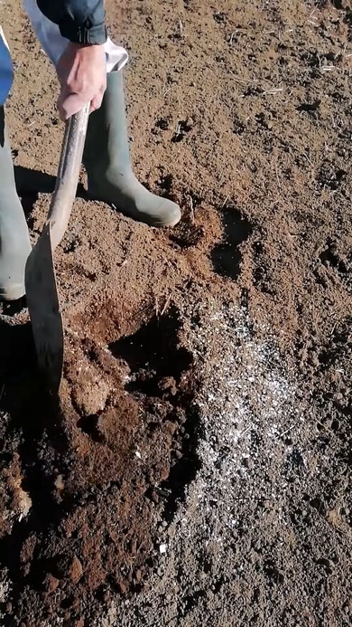 卵の殻の有効活用解説