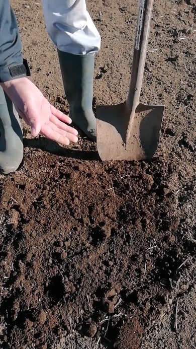 卵の殻の有効活用解説