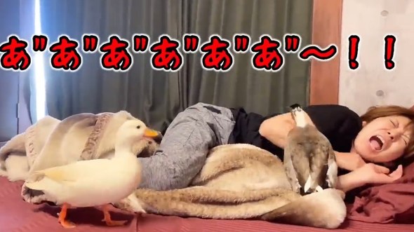 おすすめ