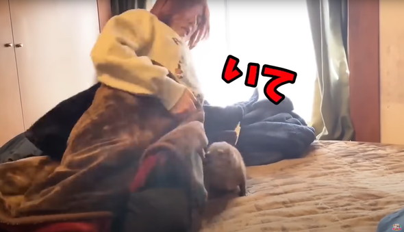 動物に起こされるお姉さん