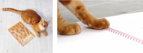 やわらか肉球カラーのソフトリング