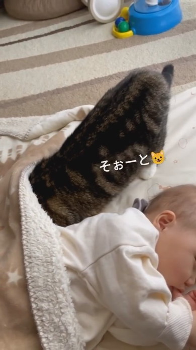 赤ちゃんと一緒にお昼寝しようとする猫ちゃん