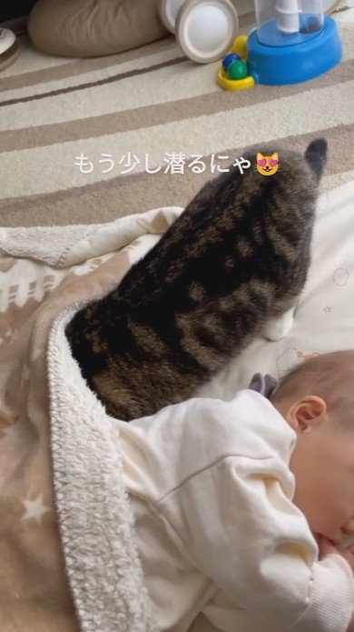 赤ちゃんと一緒にお昼寝しようとする猫ちゃん