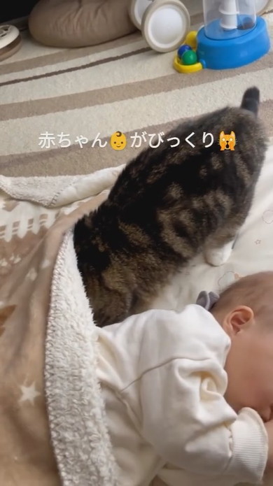 赤ちゃんと一緒にお昼寝しようとする猫ちゃん