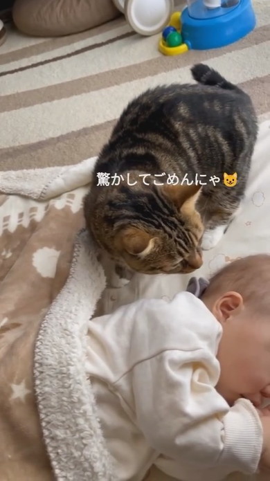 赤ちゃんと一緒にお昼寝しようとする猫ちゃん