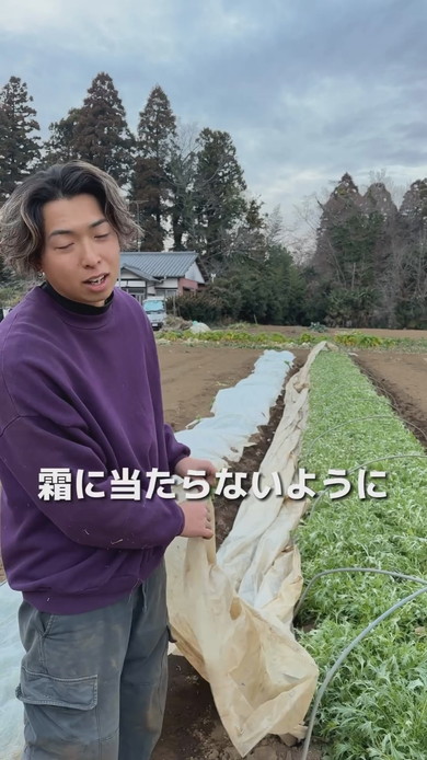 水菜全滅で打ちひしがれる青年