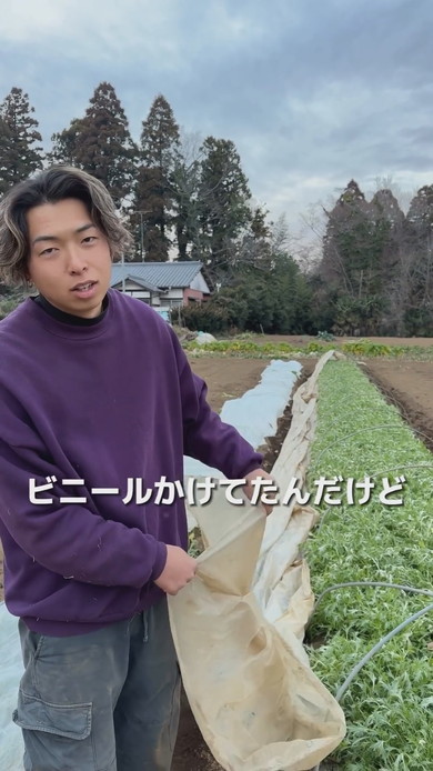 水菜全滅で打ちひしがれる青年