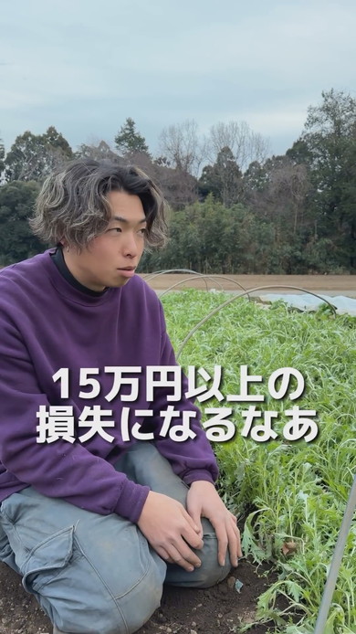 水菜全滅で打ちひしがれる青年