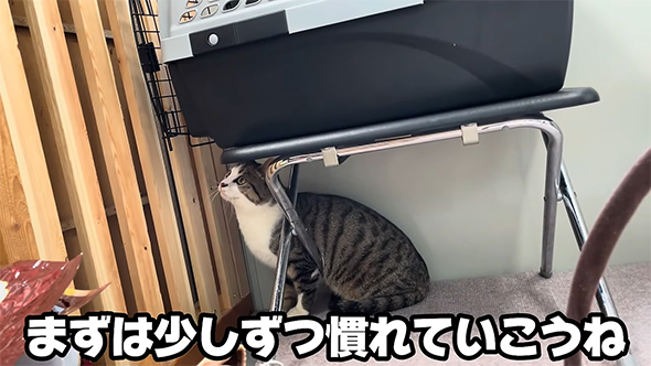 まずは少しずつ慣れていこうね