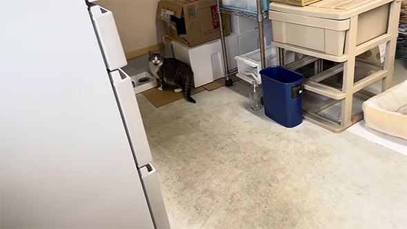 おすすめ