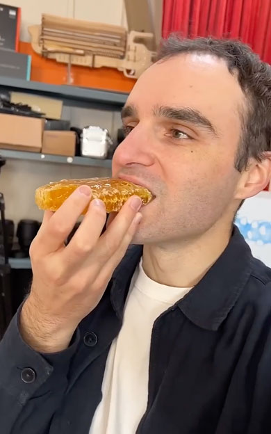 蜂の巣をそのまま食べるフランス人男性