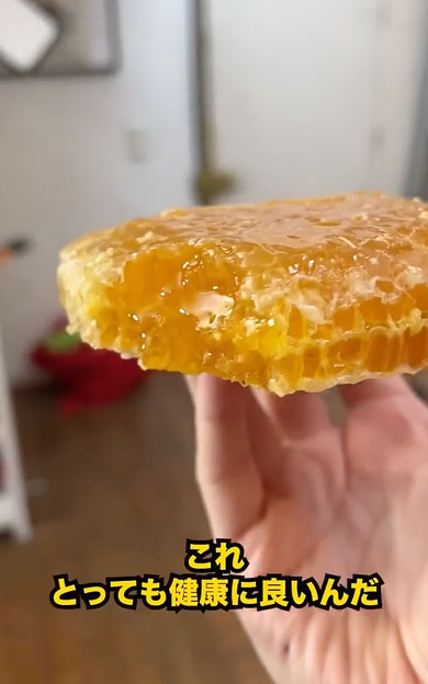 蜂の巣をそのまま食べるフランス人男性