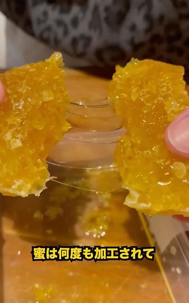 はちみつが作られる過程