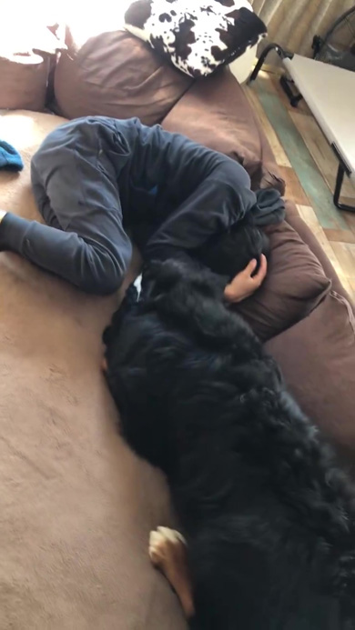 身を守る飼い主さん