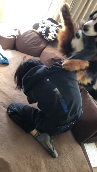 しがみつこうとするワンコ